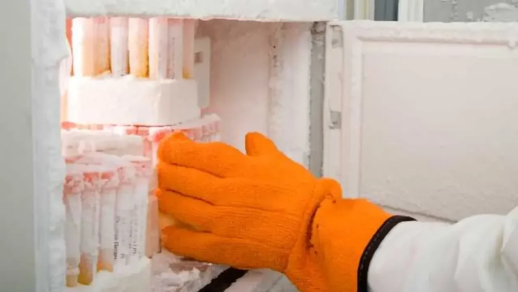 Comprehensive guide to cryopreservation methods and equipment