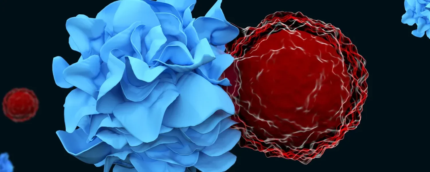 Blue dendritic cell interacting with red T cells to induce dendritic cell tolerance