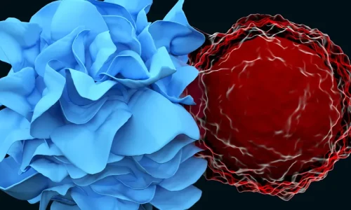 Blue dendritic cell interacting with red T cells to induce dendritic cell tolerance